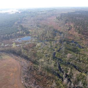 Photo #5 of 711 Cade Rd., Lake City, SC 68.0 acres