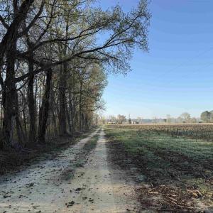 Photo #27 of 711 Cade Rd., Lake City, SC 68.0 acres
