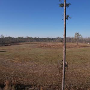 Photo #22 of 711 Cade Rd., Lake City, SC 68.0 acres