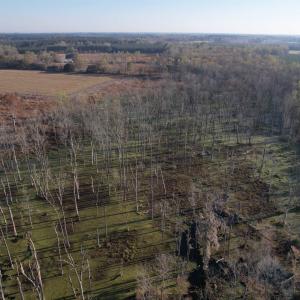 Photo #6 of 711 Cade Rd., Lake City, SC 68.0 acres