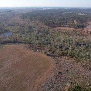 Photo #4 of 711 Cade Rd., Lake City, SC 68.0 acres