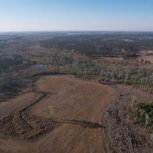 Photo #3 of 711 Cade Rd., Lake City, SC 68.0 acres