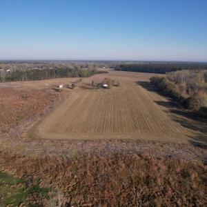 Photo #9 of 711 Cade Rd., Lake City, SC 68.0 acres