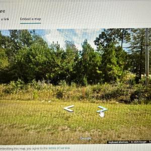 Photo #3 of LOT 11-TBD Old Charleston Rd., Georgetown, SC 2.2 acres