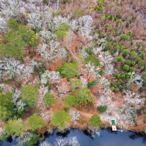 Photo #3 of 2512 Black Creek Rd., Florence, SC 0.7 acres