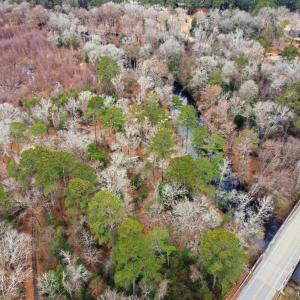 Photo #1 of 2512 Black Creek Rd., Florence, SC 0.7 acres