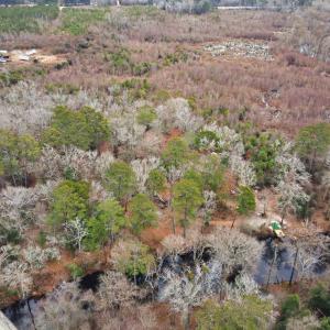 Photo #2 of 2512 Black Creek Rd., Florence, SC 0.7 acres