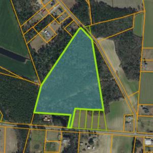 Photo #1 of TBD Joyner Swamp Rd., Galivants Ferry, SC 22.1 acres