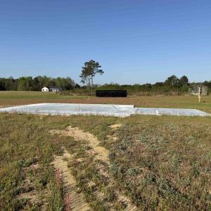 Photo #13 of 9.06 Acres-1829 Pamplico Hwy., Pamplico, SC 9.1 acres