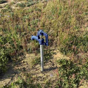 Photo #15 of 9.06 Acres-1829 Pamplico Hwy., Pamplico, SC 9.1 acres