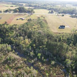 Photo #7 of 9.06 Acres-1829 Pamplico Hwy., Pamplico, SC 9.1 acres
