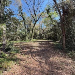 Photo #6 of 410 14th Ave. N, Surfside Beach, SC 0.2 acres