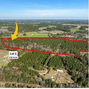Photo #2 of TBD - Lot 1 & 2 Daphane Dr., Loris, SC 13.5 acres