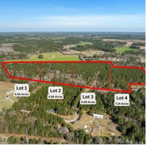 Photo #1 of TBD - Lot 1 & 2 Daphane Dr., Loris, SC 13.5 acres