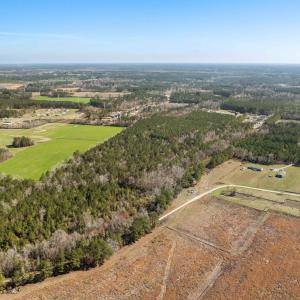 Photo #9 of TBD - Lot 1 & 2 Daphane Dr., Loris, SC 13.5 acres