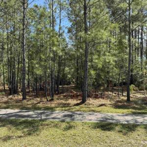 Photo #1 of 113 Pineberry Dr., Georgetown, SC 0.1 acres