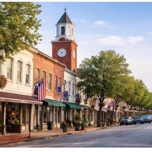 Photo #12 of 113 Pineberry Dr., Georgetown, SC 0.1 acres