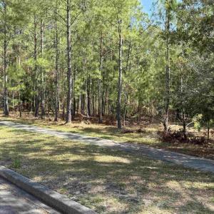 Photo #2 of 113 Pineberry Dr., Georgetown, SC 0.1 acres