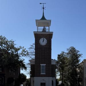 Photo #13 of 113 Pineberry Dr., Georgetown, SC 0.1 acres