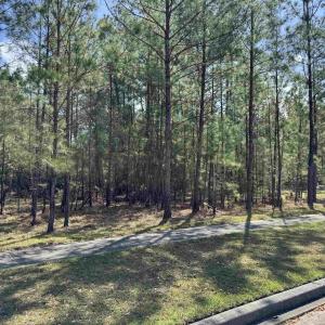 Photo #3 of 113 Pineberry Dr., Georgetown, SC 0.1 acres