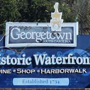 Photo #10 of 113 Pineberry Dr., Georgetown, SC 0.1 acres