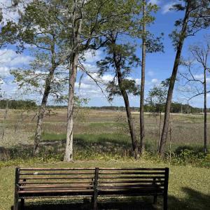 Photo #5 of 113 Pineberry Dr., Georgetown, SC 0.1 acres