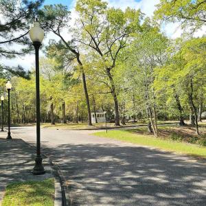 Photo #6 of 113 Pineberry Dr., Georgetown, SC 0.1 acres