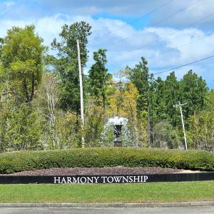 Photo #8 of 113 Pineberry Dr., Georgetown, SC 0.1 acres