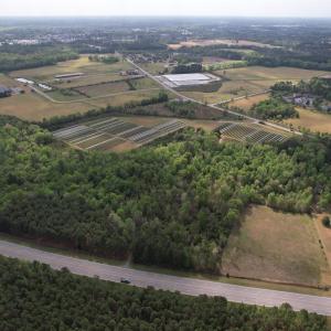 Photo #12 of 13.32 Ac - 1014 Highway 378 Bypass, Lake City, SC 13.3 acres