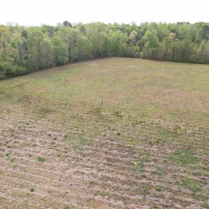 Photo #5 of 13.32 Ac - 1014 Highway 378 Bypass, Lake City, SC 13.3 acres