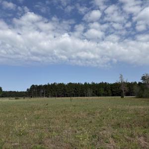 Photo #9 of 13.32 Ac - 1014 Highway 378 Bypass, Lake City, SC 13.3 acres
