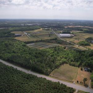 Photo #13 of 13.32 Ac - 1014 Highway 378 Bypass, Lake City, SC 13.3 acres