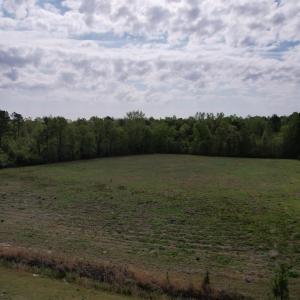 Photo #10 of 13.32 Ac - 1014 Highway 378 Bypass, Lake City, SC 13.3 acres