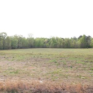 Photo #4 of 13.32 Ac - 1014 Highway 378 Bypass, Lake City, SC 13.3 acres