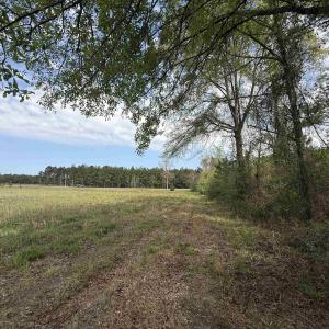 Photo #8 of 13.32 Ac - 1014 Highway 378 Bypass, Lake City, SC 13.3 acres