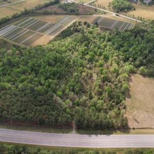 Photo #1 of 13.32 Ac - 1014 Highway 378 Bypass, Lake City, SC 13.3 acres