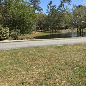 Photo #3 of 300 Lagrange Rd., Georgetown, SC 0.2 acres