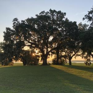 Photo #16 of 300 Lagrange Rd., Georgetown, SC 0.2 acres