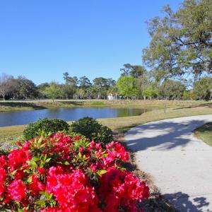 Photo #15 of 300 Lagrange Rd., Georgetown, SC 0.2 acres