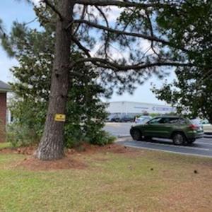 Photo #17 of 2410 Highway 501, Conway, SC 0.4 acres