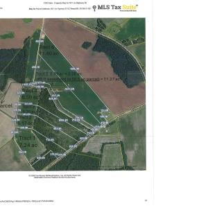 Photo #1 of TBD Tract 4 Trinidad Ard Rd, Coward, SC 6.6 acres