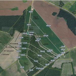 Photo #1 of TBD Tract 4 Trinidad Ard Rd, Coward, SC 6.6 acres