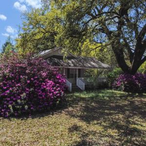 Photo #9 of 2934 Highway 905, Conway, SC 9.5 acres