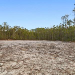 Photo #3 of 835 Indian Hut Rd., Georgetown, SC 5.0 acres