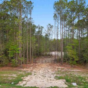 Photo #2 of 835 Indian Hut Rd., Georgetown, SC 5.0 acres