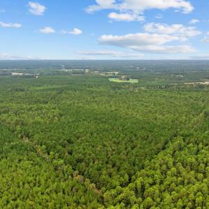 Photo #3 of TBD River Bend Rd., Loris, SC 200.0 acres