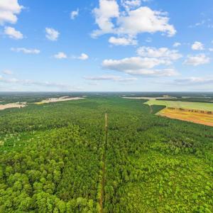 Photo #6 of TBD River Bend Rd., Loris, SC 200.0 acres