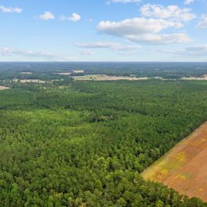 Photo #2 of TBD River Bend Rd., Loris, SC 200.0 acres