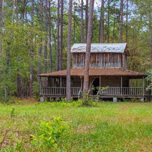 Photo #9 of TBD River Bend Rd., Loris, SC 200.0 acres