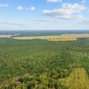 Photo #5 of TBD River Bend Rd., Loris, SC 200.0 acres